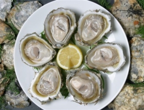 Bluff oysters are world famous